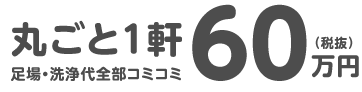 丸ごと1軒/足場・洗浄代全部コミコミ/60万円